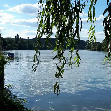 Les Seringats Poissy Extérieur photo